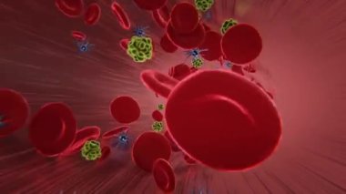 Atardamarlarında virüs olan kırmızı kan hücreleri. 3d video