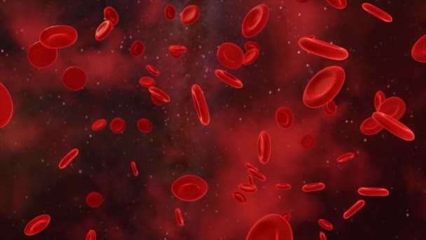 Des Globules Rouges Coulent Dans Une Artère Vidéo — Video