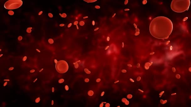 Globuli Rossi Fluiscono Arteria Video — Video Stock