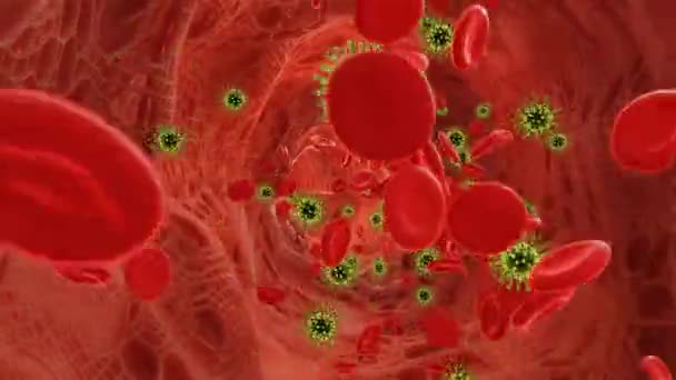 Rote Blutkörperchen Die Mit Viren Einer Arterie Fließen Video — Stockvideo