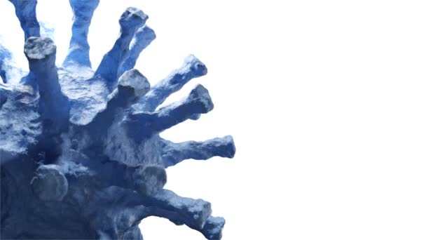 コロナウイルスのビデオ映像 最高の3D Covid 19アニメ — ストック動画