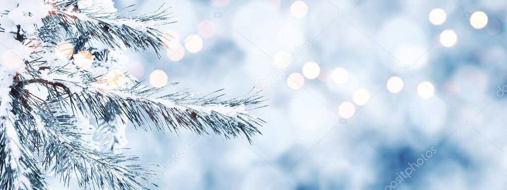 Christmas composition and winter concept. Snow landscape. Christmas and New Year border art design.