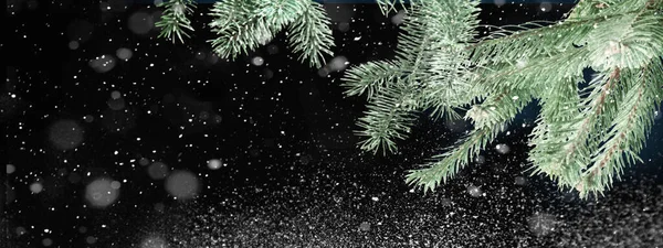 Рождественская Композиция Зимняя Концепция Снежный Пейзаж Рождественский Новогодний Дизайн — стоковое фото