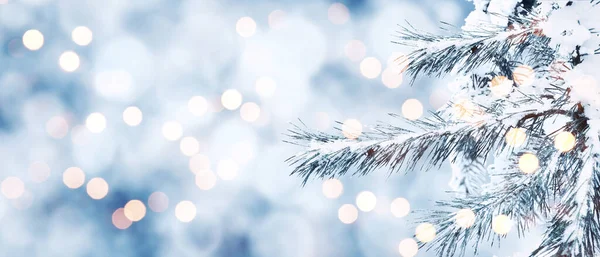 Χριστουγεννιάτικη Σύνθεση Και Χειμερινή Έννοια Χιόνι Τοπίο Χριστούγεννα Και Πρωτοχρονιά — Φωτογραφία Αρχείου