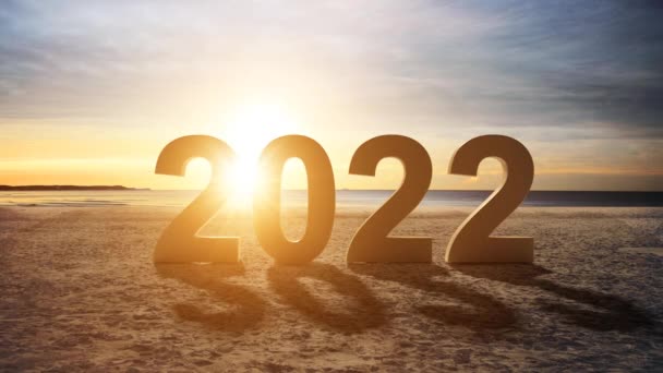 Bonne Année Film Début Année 2022 Animation — Video