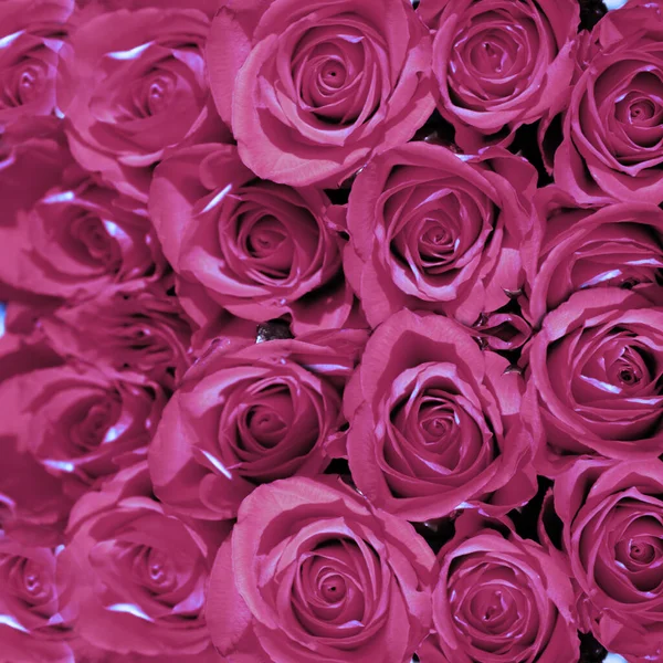 Valentines Day Pozadí Láska Valentýn Koncept — Stock fotografie
