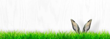 Tavşanlı Paskalya kompozisyonu. Şenlik dekorasyonu. Mutlu Paskalyalar.