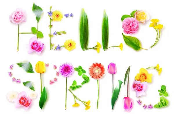 Spring Inscrição Decorativa Com Letras Conceito Primavera Criativo — Fotografia de Stock