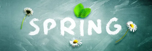 Spring Decoratieve Inscriptie Met Letters Creatief Lenteconcept — Stockfoto