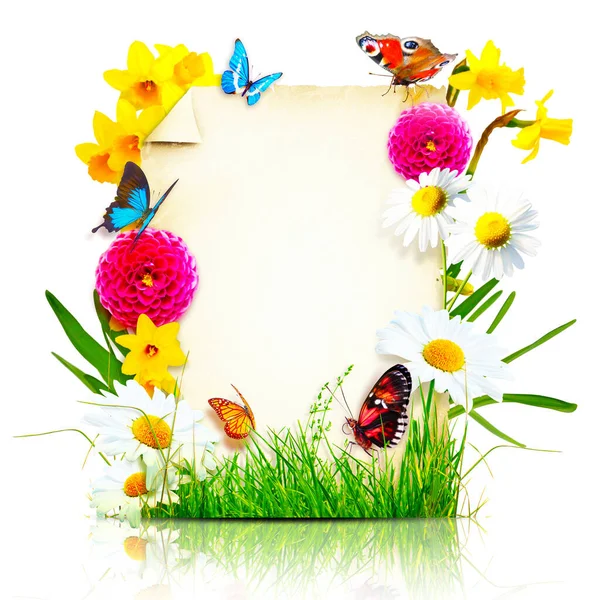 Creatieve Indeling Met Bloemen Vlinders Voorjaar Minimaal Concept — Stockfoto