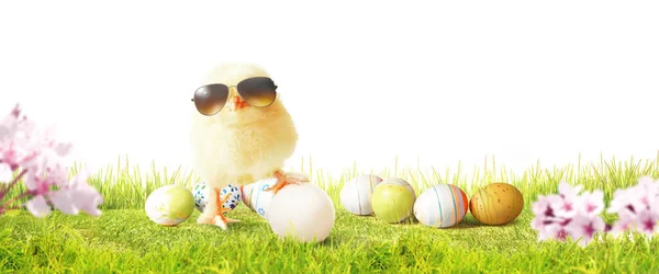 Una Decoración Pascua Con Pollo Concepto Vacaciones Pascua Con Lindo — Foto de Stock