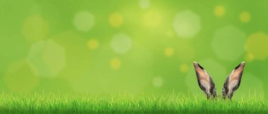 Tavşanlı Paskalya kompozisyonu. Şenlik dekorasyonu. Mutlu Paskalyalar.