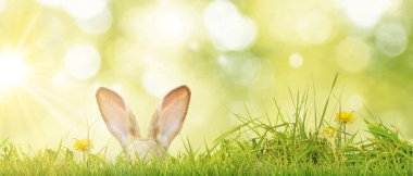 Tavşanlı Paskalya kompozisyonu. Şenlik dekorasyonu. Mutlu Paskalyalar.