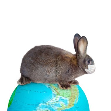 Coronavirus temalı Paskalya kompozisyonu. Paskalya Karantinası