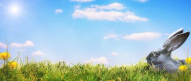 Tavşanlı Paskalya kompozisyonu. Şenlik dekorasyonu. Mutlu Paskalyalar.