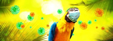 Corona virüsü salgını. Salgın zaman konseptinde seyahat