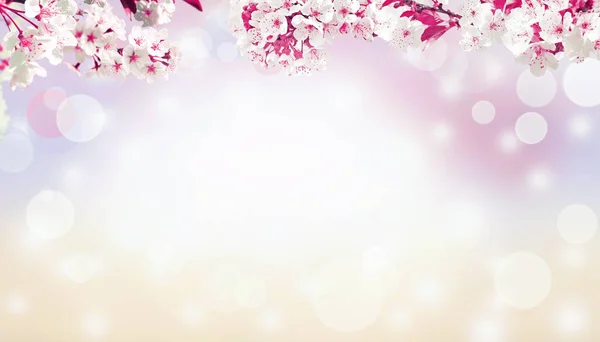 Spring Banner Background Copy Space — Stock Photo, Image