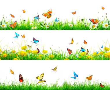 Bahar sabahı uçan kelebek. Panoramik görünüm.