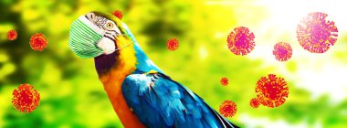 Corona virüsü salgını. Salgın zaman konseptinde seyahat