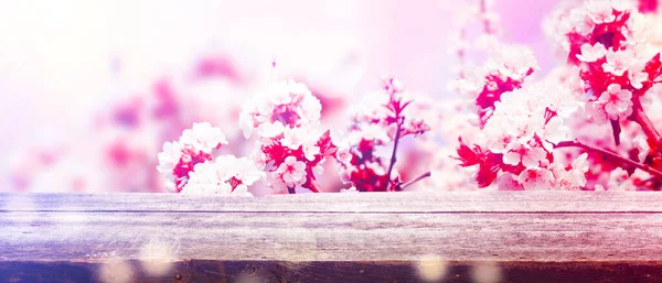 開花する花の木と美しい自然シーン — ストック写真