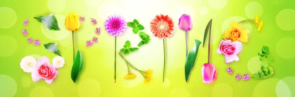 Spring Decoratieve Inscriptie Met Letters Creatief Lenteconcept — Stockfoto