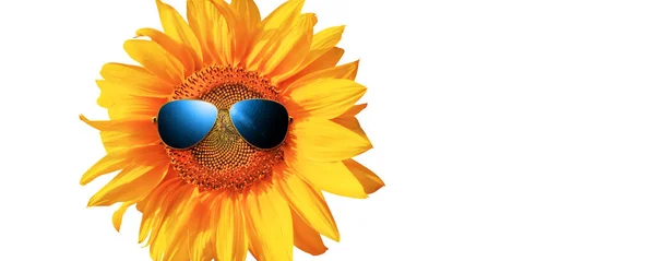 Ізольований Соняшник Сонцезахисними Окулярами Щасливим Обличчям — стокове фото