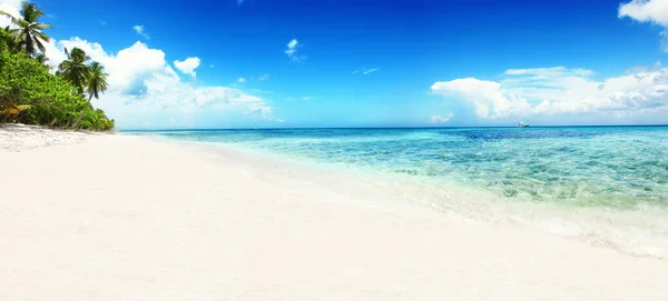 Долоні Порожньому Ідилічному Тропічному Піщаному Пляжі — стокове фото