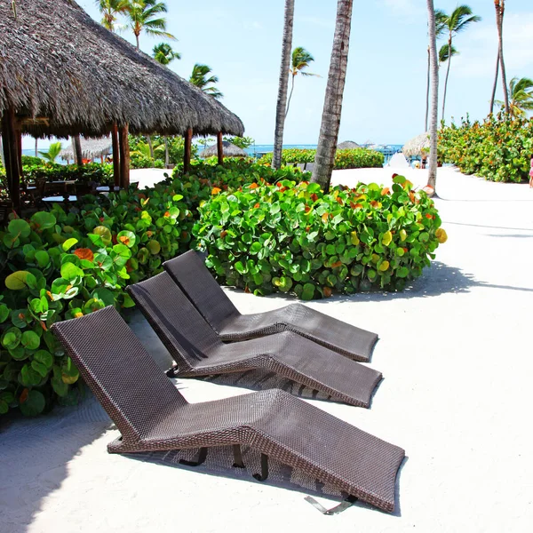 Holzliegestühle Sandstrand Der Nähe Des Meeres Hintergrund Der Feiertage — Stockfoto