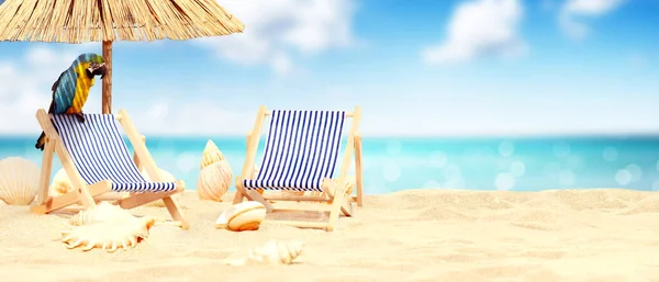 Wooden Deck Chairs Parrot Sandy Beach Sea Holiday Background — Stock Photo, Image