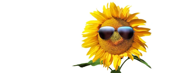 Girasol Aislado Con Gafas Sol Cara Feliz — Foto de Stock