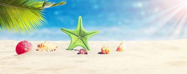Spiaggia Sabbia Con Belle Stelle Marine Vicino Mare Nella Soleggiata — Foto Stock