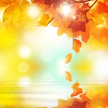 Sarı ve kırmızı yapraklı güzel sonbahar arkaplanı.