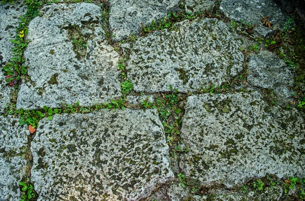 Steinmauer — Stockfoto