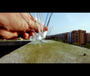 Güvercinler ve diğer kuşlar gibi kuş önleyici çelik çivilerin bir binanın korsenine yerleştirilmesi