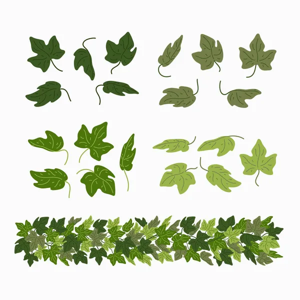 Efeublätter und grüner Lianenrand, vereinzelt auf weißem Hintergrund. Vektorillustration im flachen Cartoon-Stil. — Stockvektor