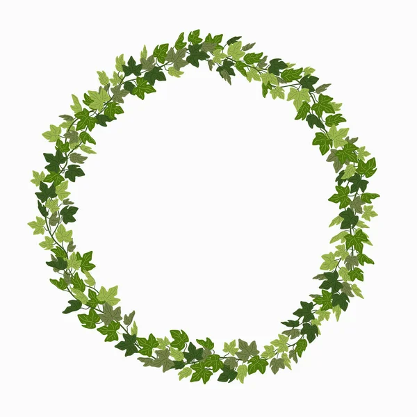 Ivy wreath, green creeper circle frame isolated on white background. Vector illustration in flat cartoon style.. — Stock Vector