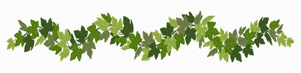 Ivy feston, zielony creeper dekoracyjne granicy izolowane na białym tle. Ilustracja wektora w stylu płaskiej kreskówki — Wektor stockowy