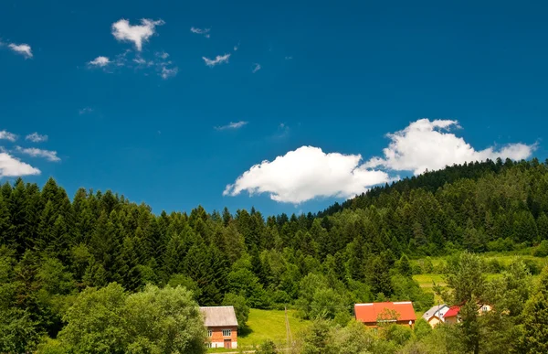 Krajina lesů s jasně modré obloze — Stock fotografie