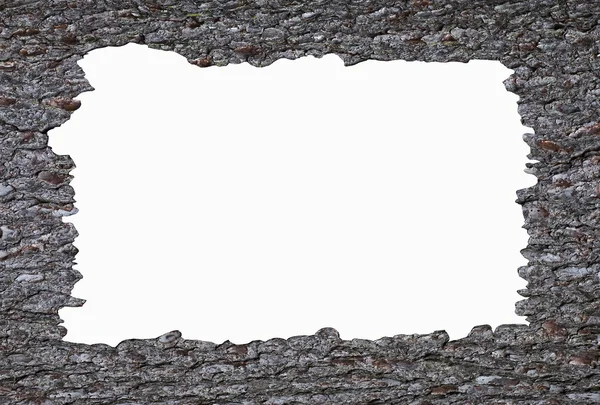 Ağaç kabuğu kenarlık