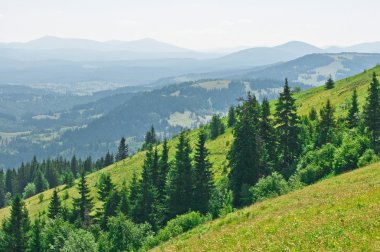 Yaz dağı manzarası 