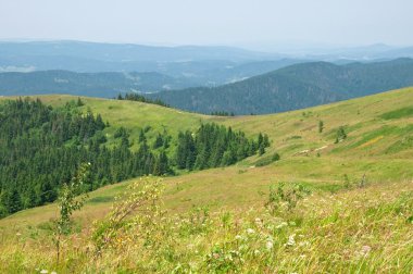 Yaz dağı manzarası 