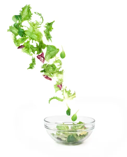 taze karışık sebze 