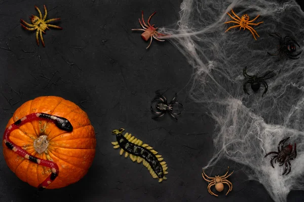 Tela de araña con arañas sobre un fondo negro, Halloween, vista superior — Foto de Stock