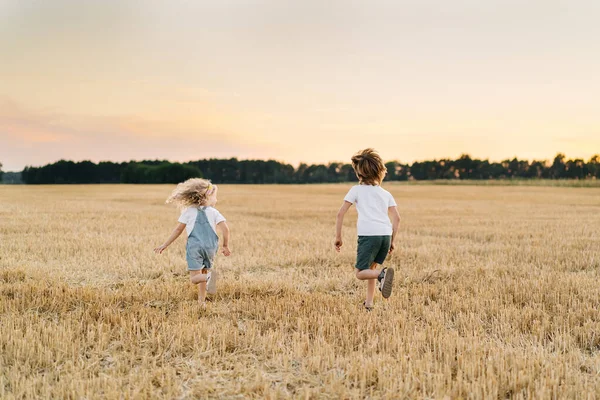 Счастливые и свободные люди, дети бегут по скошенному полю пшеницы, люди сзади — стоковое фото