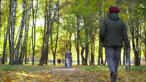 モスクワ、ロシア10.08.2021人々は秋の公園を歩く、家族の散歩のための自然レクリエーションエリア — ストック動画