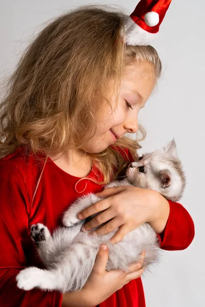 Uma linda menina loira em um vestido vermelho e um chapéu de Papai Noel com um gatinho branco bonito em suas mãos, uma criança feliz, o conceito de presentes de Natal, foto vertical — Fotografia de Stock