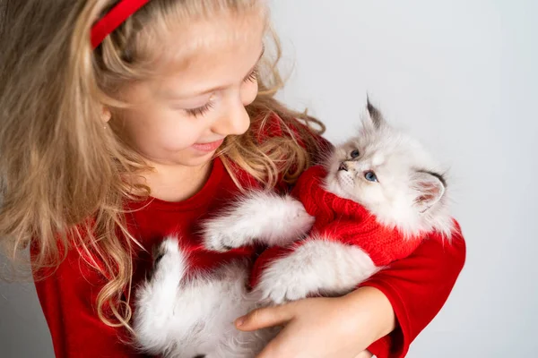 Pequena loira bonita em um vestido vermelho com um gatinho branco bonito em suas mãos, bebê feliz, conceito de presente de Natal — Fotografia de Stock