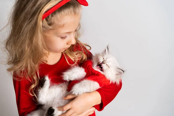 Pequena loira bonita em um vestido vermelho com um gatinho branco bonito em suas mãos, miudezas gatinho, bebê feliz, conceito de presente de Natal — Fotografia de Stock