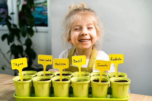A small blonde girl in an apron is engaged in planting seeds for seedlings, smiling, looking at the camera, the concept of childrens gardening — Stock Photo, Image