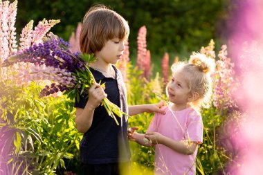Çiçekli bir tarlada erkek ve kız kardeş lupinli, yazın mutlu çocuklar doğada gülümseyin.